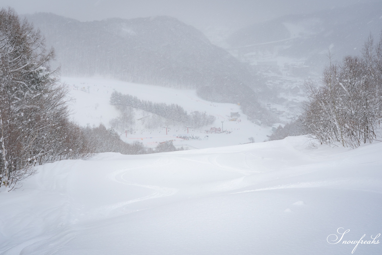 片岡嵩弥 - Takaya Kataoka - Powder Photo Session 2026 in ASARI